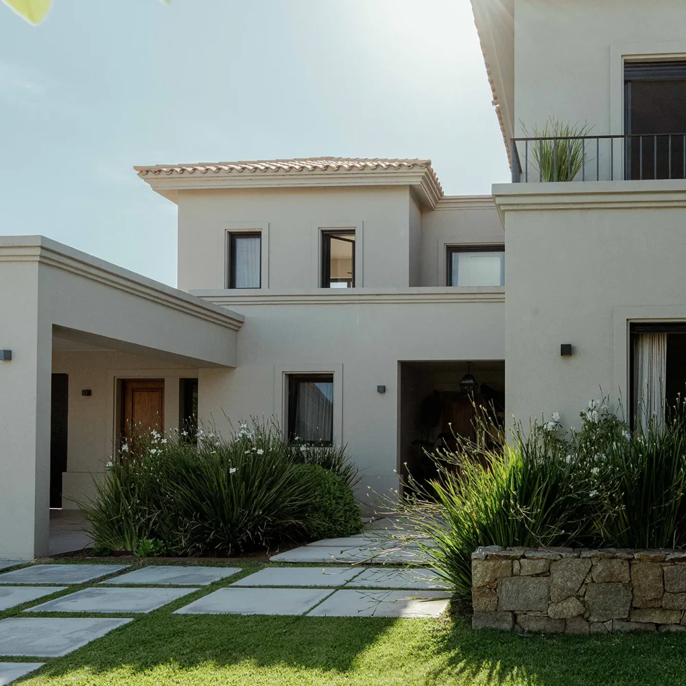 olivos_324